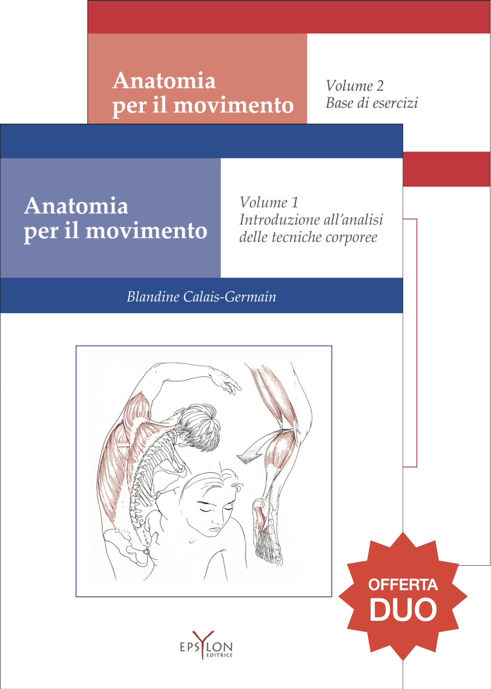 anatomia12induo
